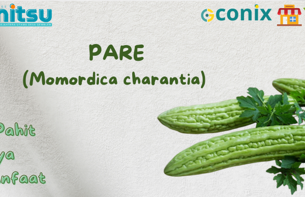 Green Organic Coming Soon Instagram Post (2418 x 1209 piksel)